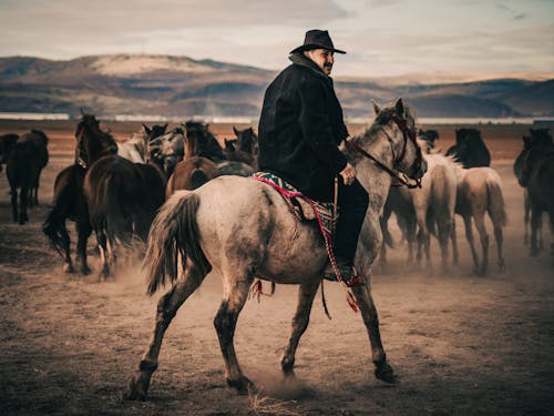 Man Horseback Riding on a Field