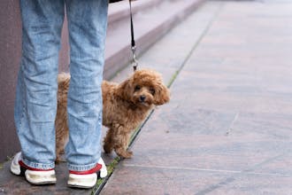 Glücklich sein: Das Leben genießen
