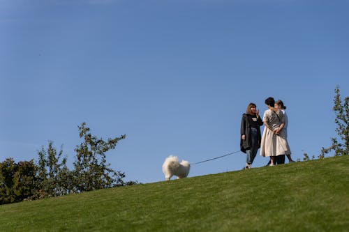 Безкоштовне стокове фото на тему «freunde, frühling, gras»