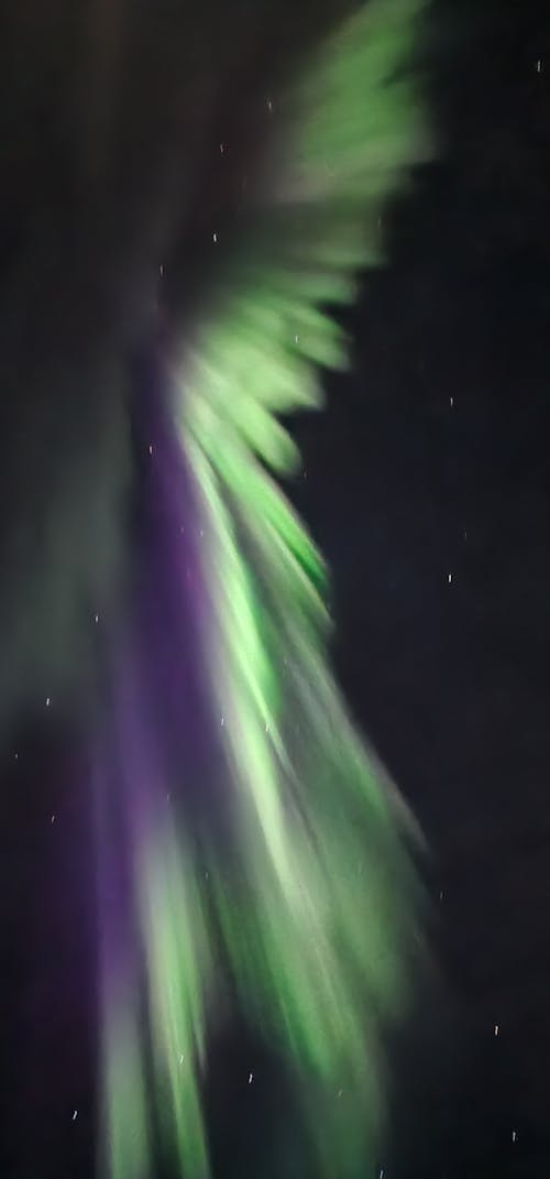 Foto profissional grátis de Aurora boreal, infância