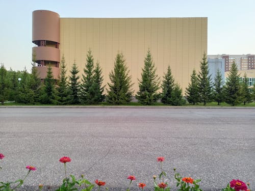 Red Flowers Growing by Roadside opposite Large Facility Building