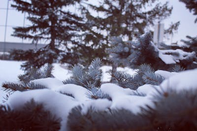 雪景的词语 雪景的词语和句子