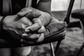 Artwork for Redefining Masculinity Through Care, Grief, and Quiet Strength with Bill Volkmann
