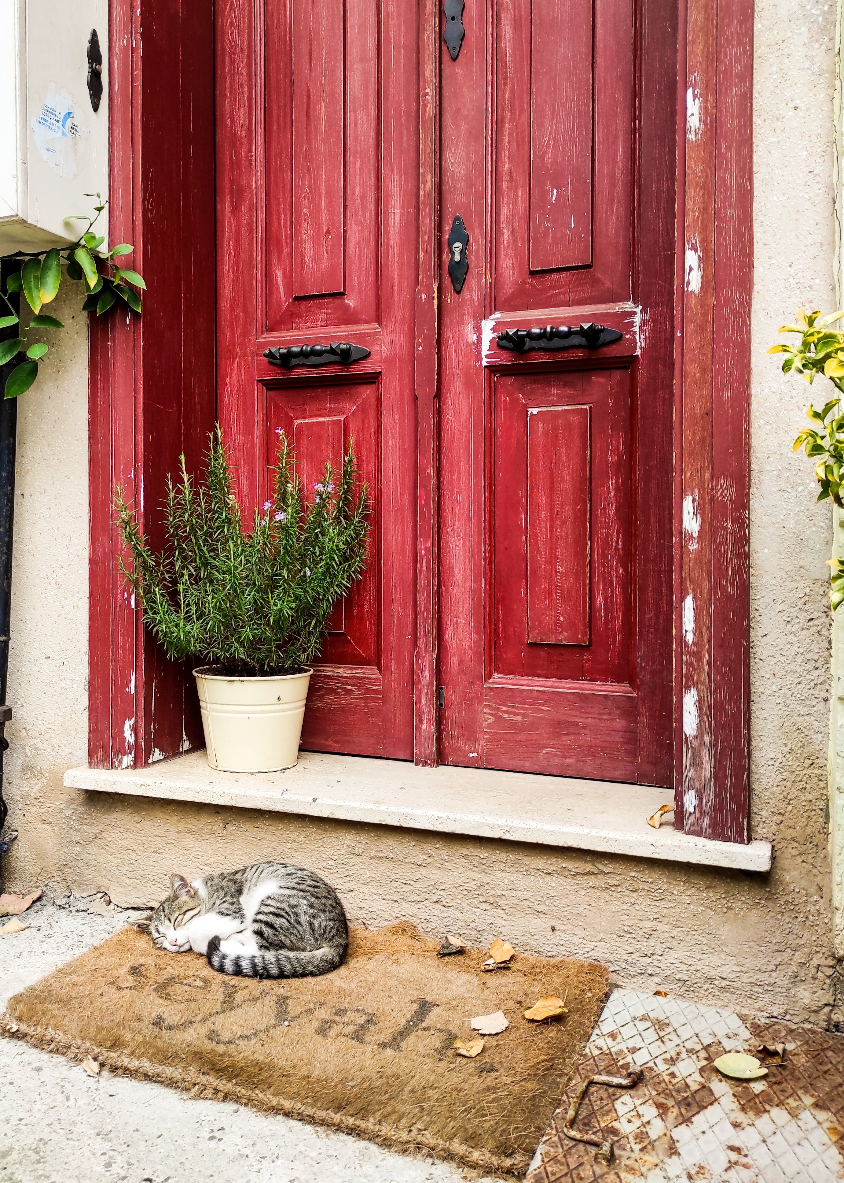 large spring doormat