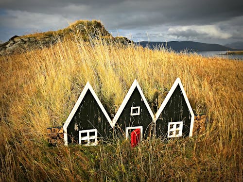 Darmowe zdjęcie z galerii z islandia, model, natura