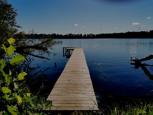 Free stock photo of alone, beautiful nature, blue Stock Photo