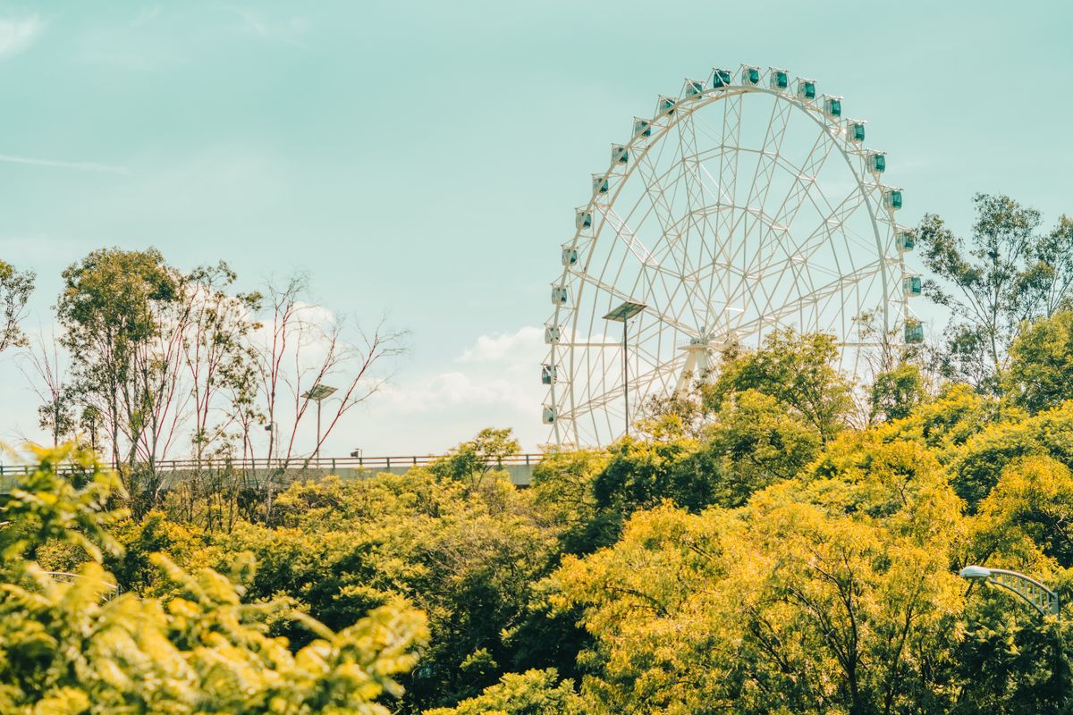 A serene view of a ferris wheel rising above vibrant trees in Mexico City, CDMX, Mexico.