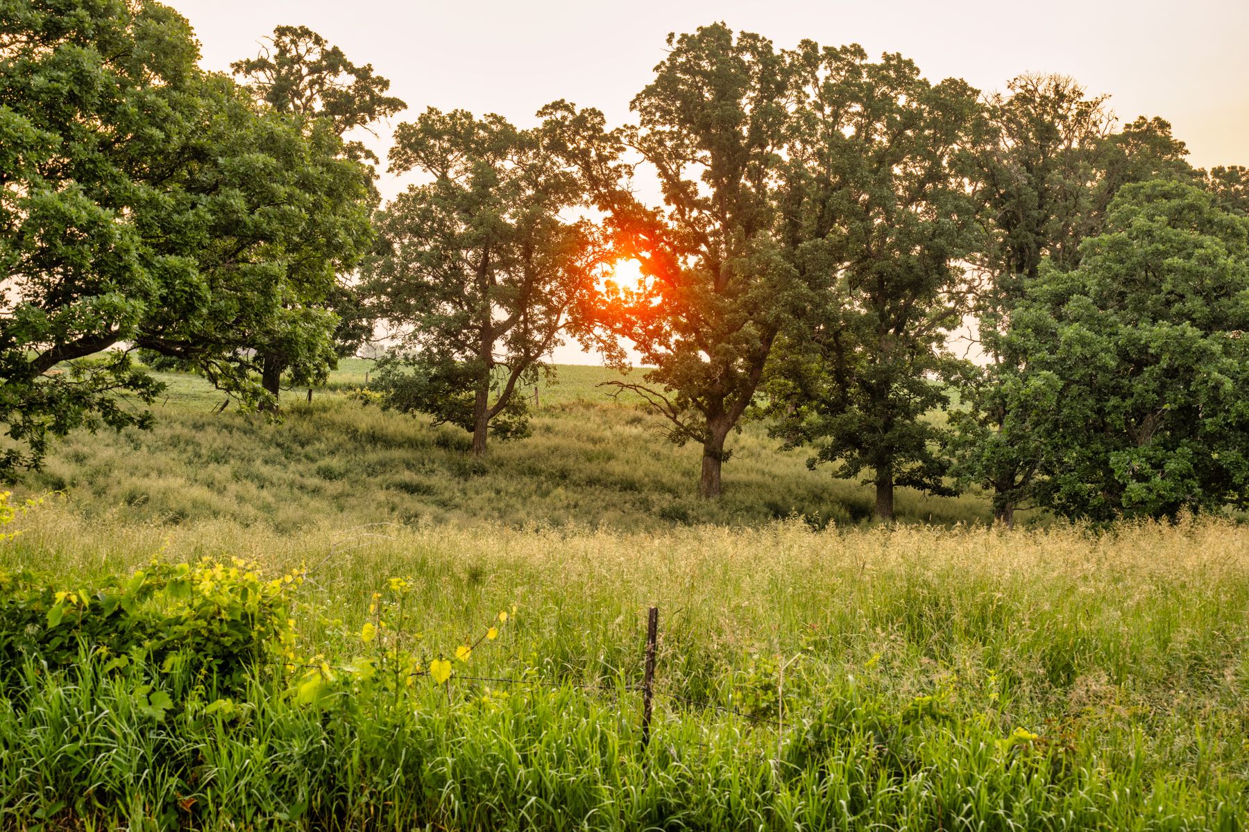 The Green Economy Impact: Why Sustainable Tourism is Booming in Upstate New York