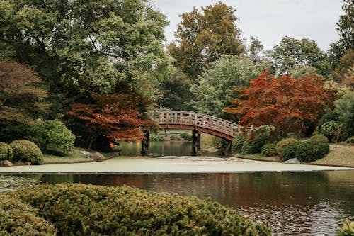 Bridge by the River in a Park
