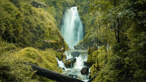 Rainforest Landscape with Waterfall and River Cascade