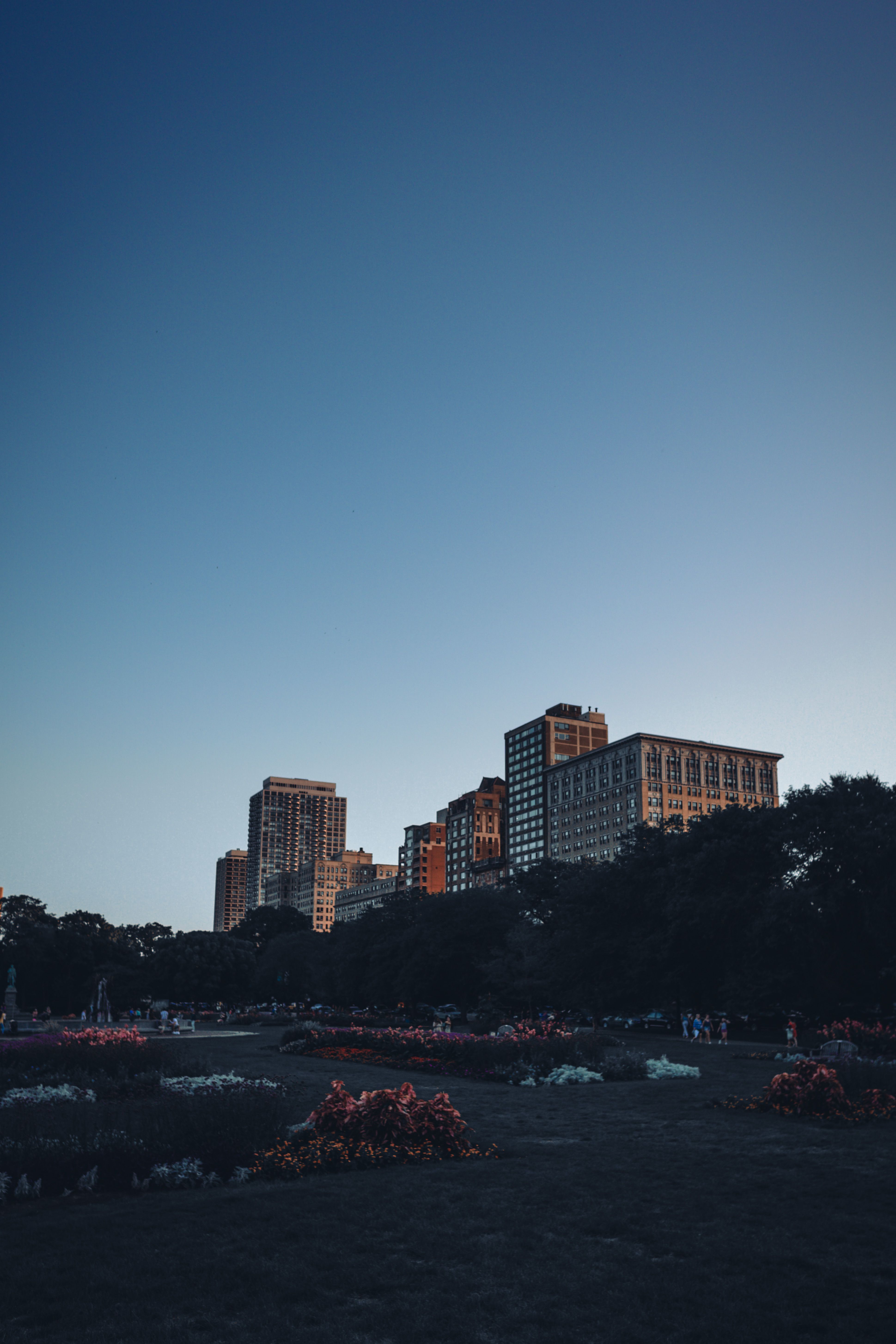 Clear Sky over Park with Flowers and Trees in City · Free Stock Photo