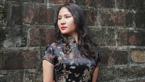 Gratis stockfoto met aantrekkelijk, bakstenen muur, cheongsam