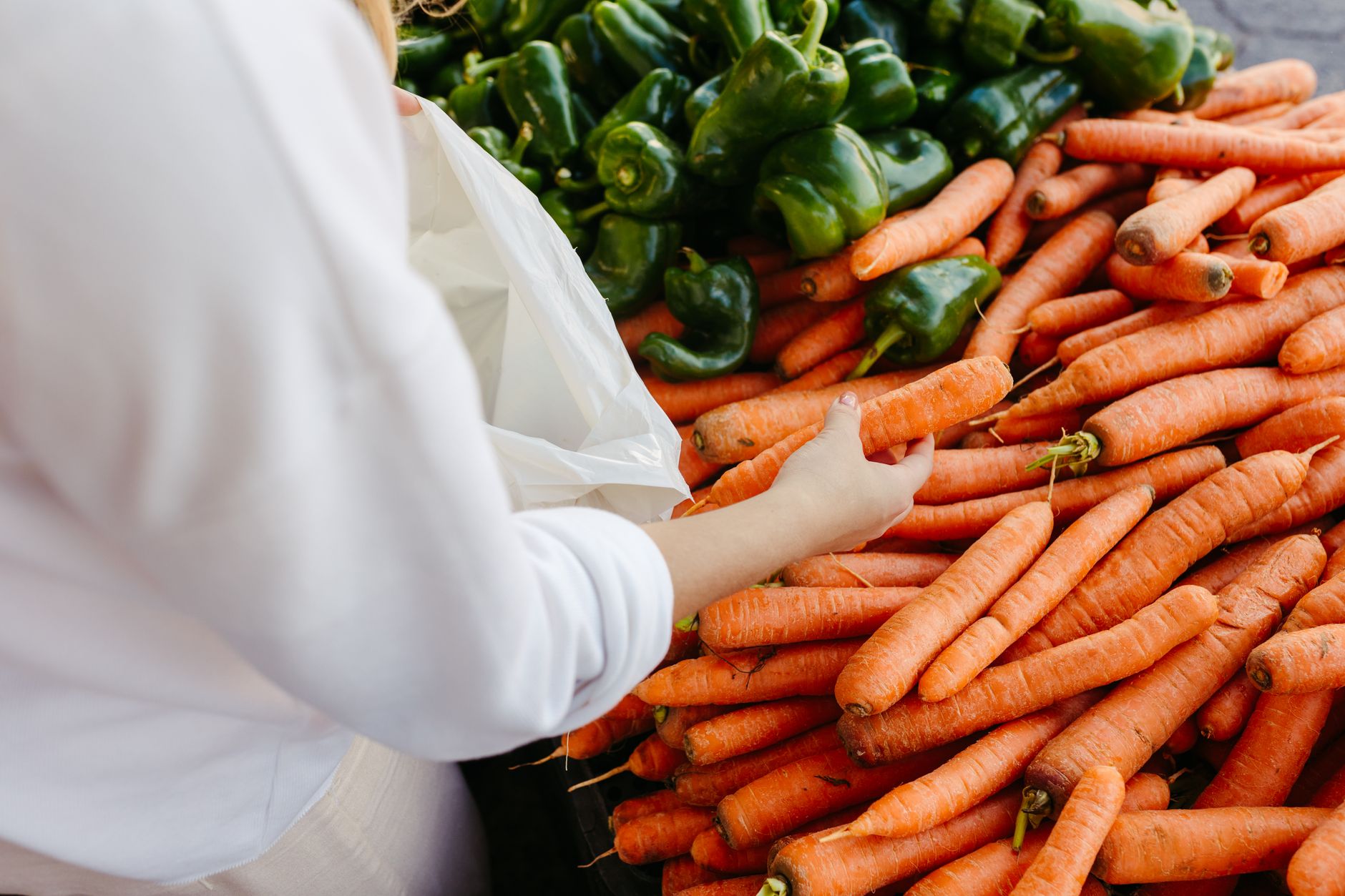 Fresh vegetables arranged for optimal storage