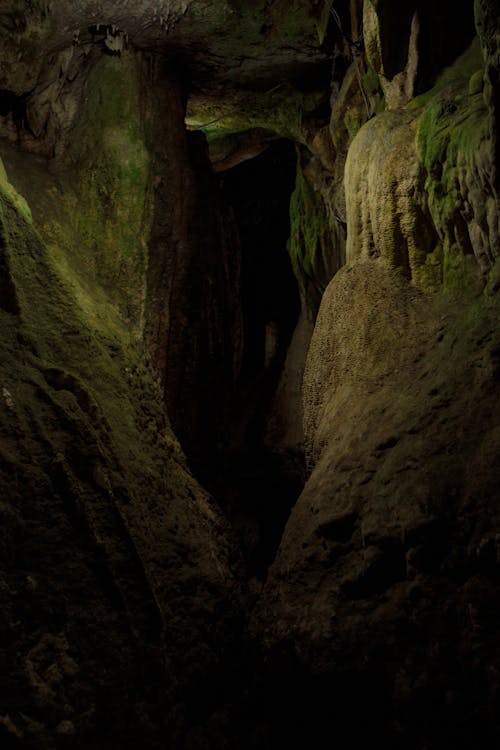 Foto profissional grátis de caverna, cenote, México