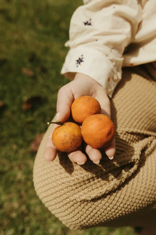 あちゃちゃ, オレンジ色の果物, ガルシニア フミリスの無料の写真素材
