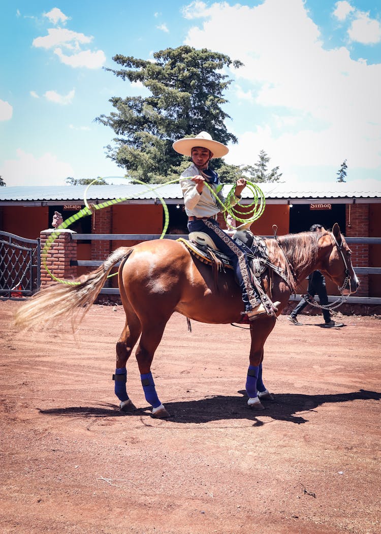 Cowboy On Horse On Pasture