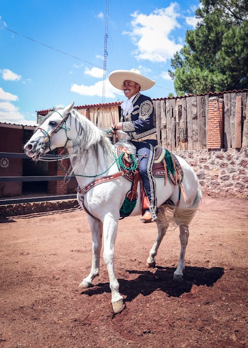 Photos gratuites de animal, chapeau, cheval blanc