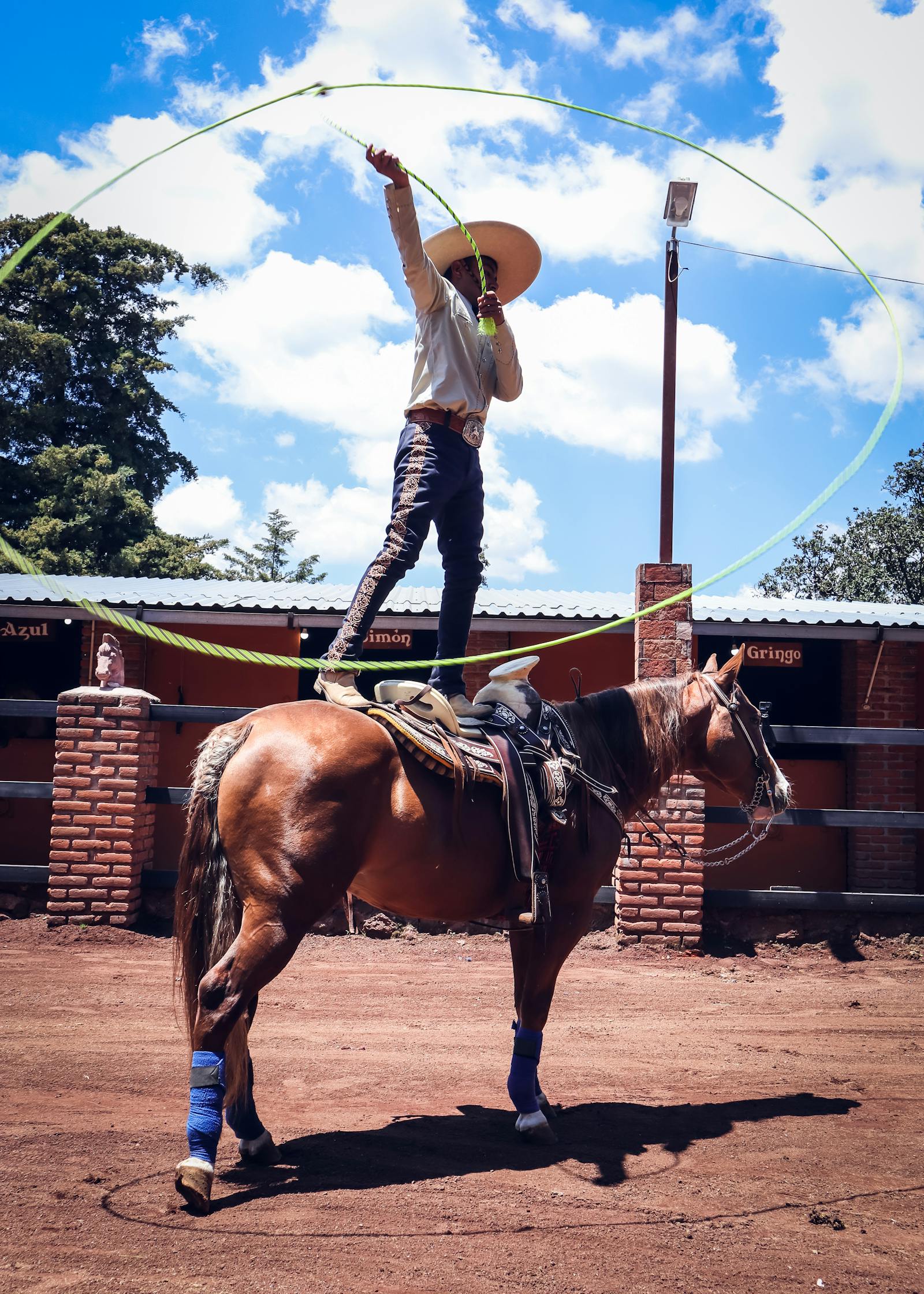 Lasso photos download the best free lasso stock photos hd images