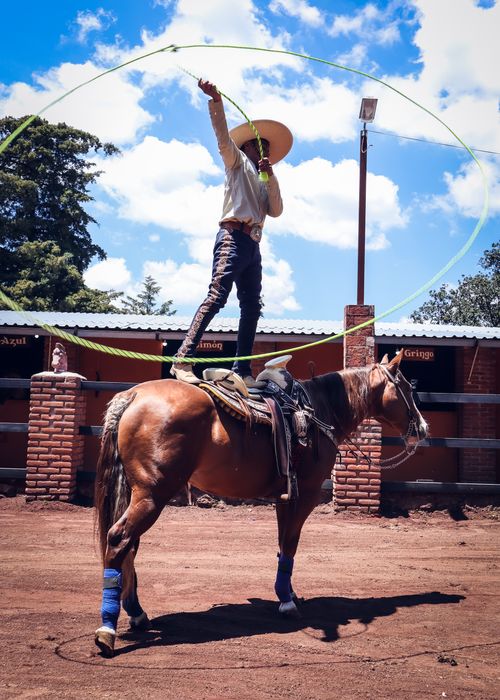 Free A skilled charro displays lasso skills while standing on a horse in a ranch setting. Stock Photo