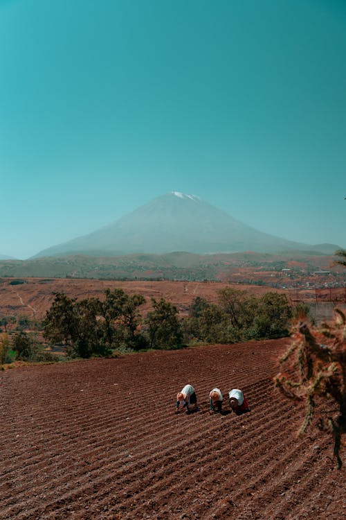 Základová fotografie zdarma na téma arequipa, farmáři, hora