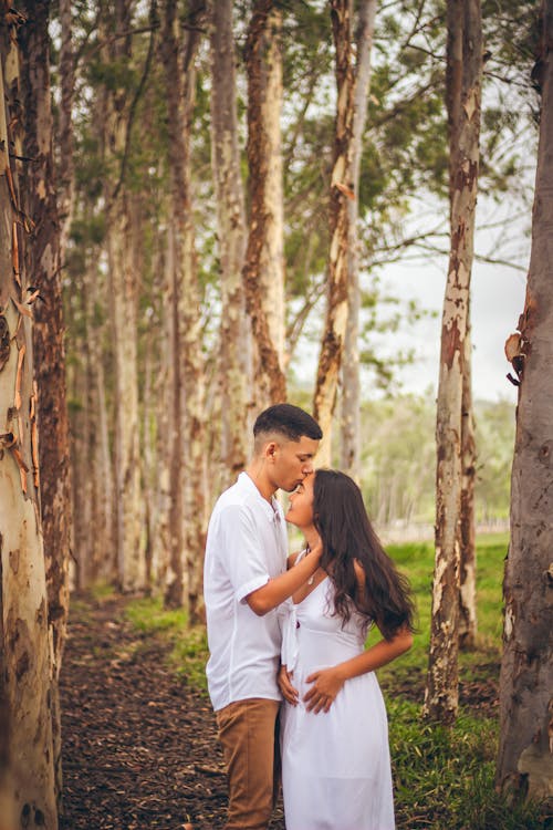 Photos gratuites de allée, arbres, chemise blanche