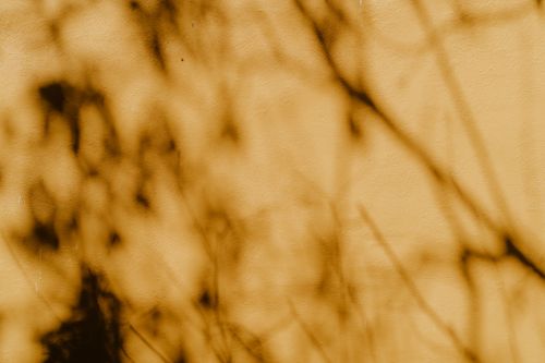 Free Blurred shadows on a yellow surface create a warm, artistic abstract pattern. Stock Photo