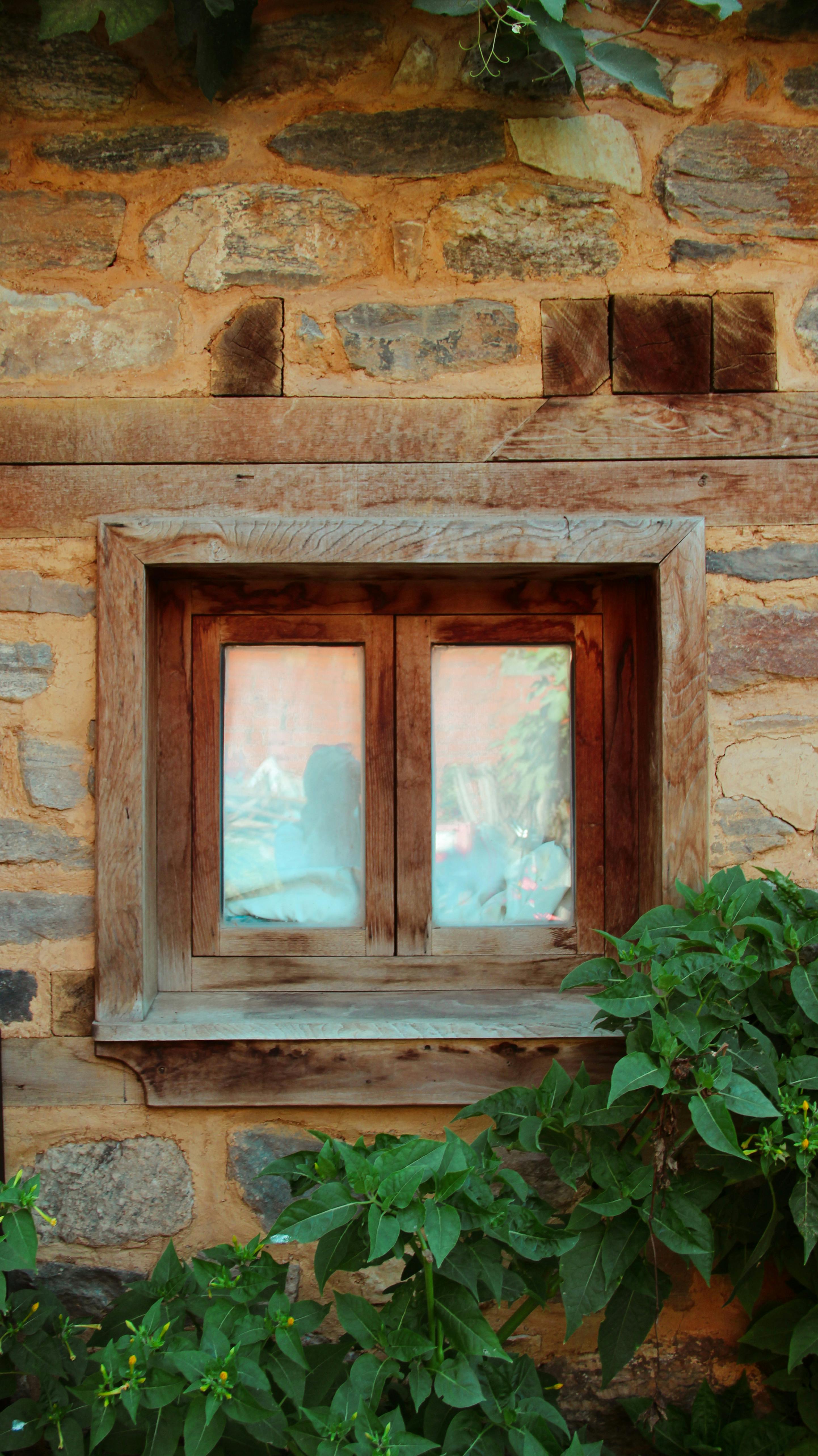 a window in a stone wall with plants growing in it