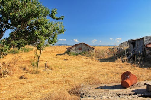 Kostenloses Stock Foto zu haus, herbst