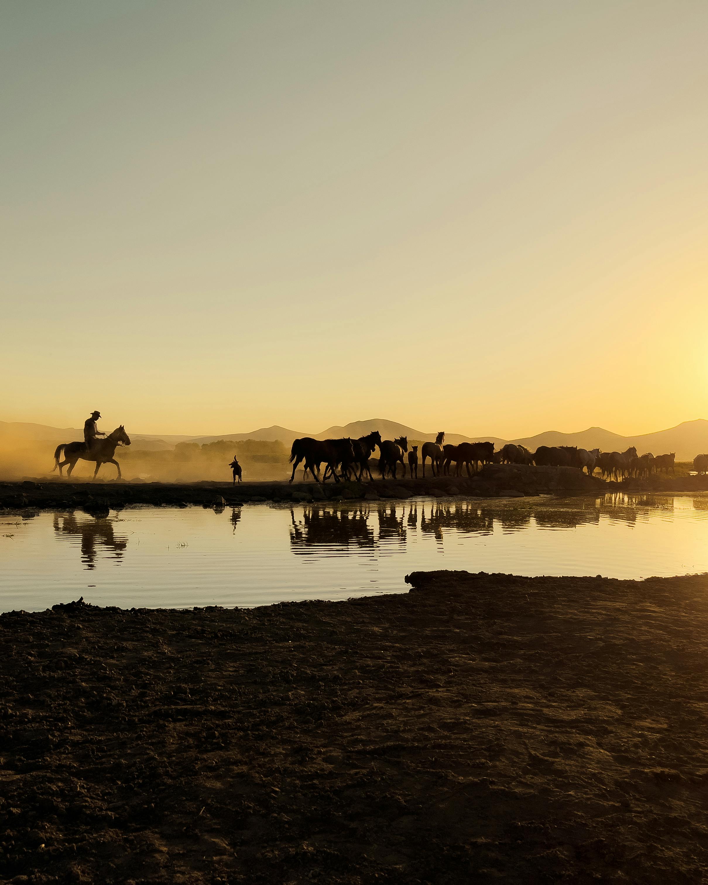 Silhouetted cowboy herding horses by a calm water surface at sunset in rural Turkey.