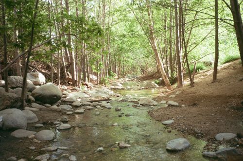 Free A tranquil forest stream flowing through lush greenery, surrounded by rocks and trees, evokes a sense of peace. Stock Photo