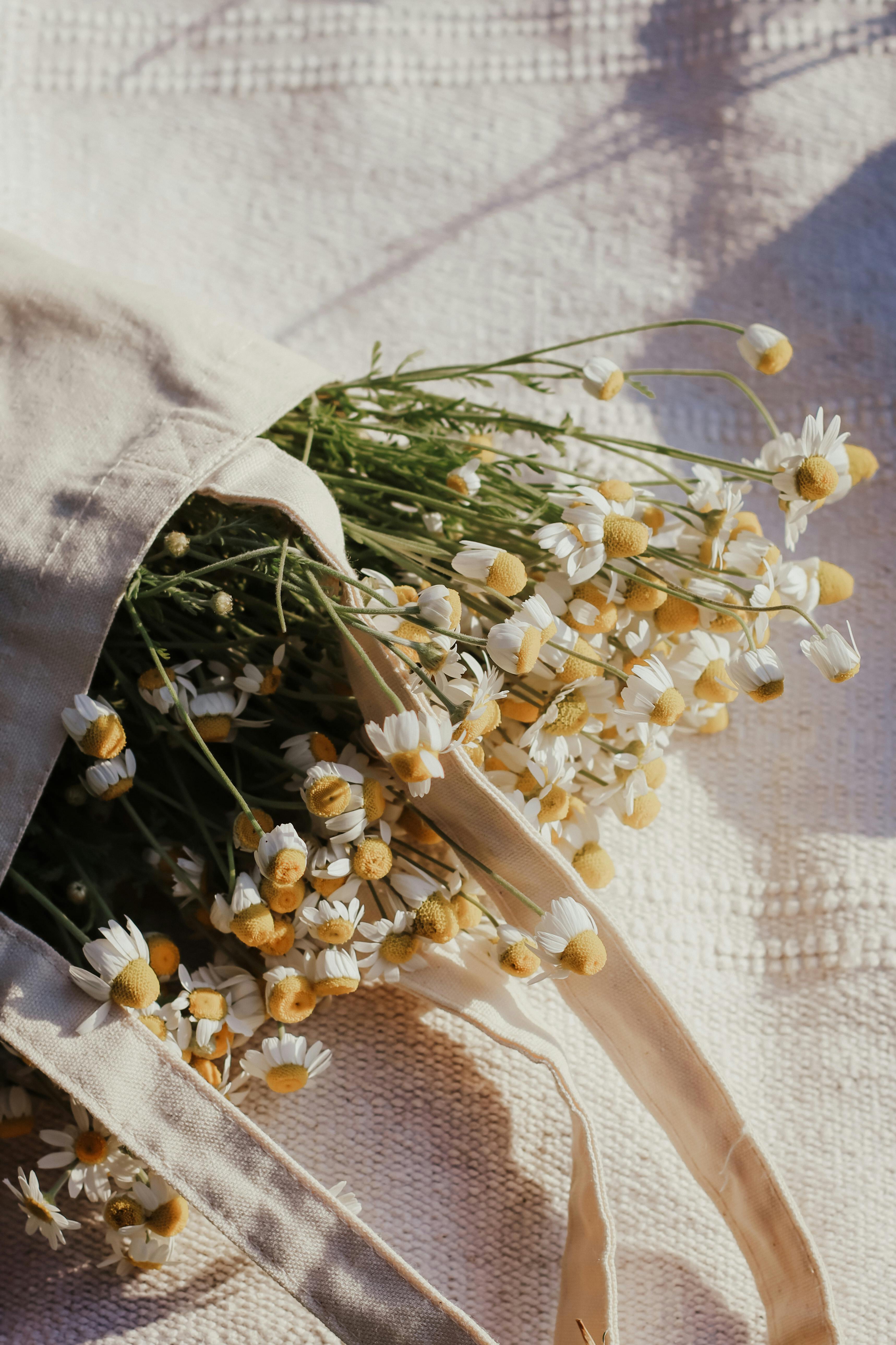 A dreamy scene with daisies spilling out of a tote bag on a sunny day, perfect for summer themes.