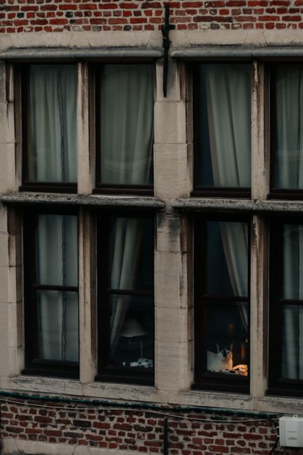 Facade of a historic building in Antwerp with large windows and soft lighting.