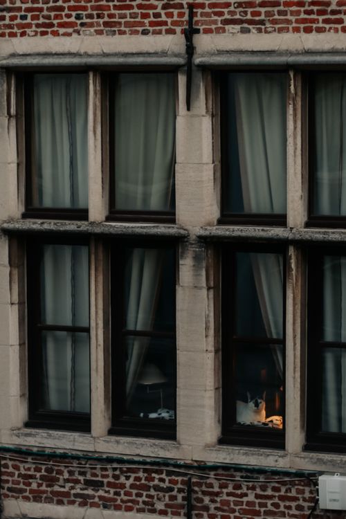 Retro Building Windows Windows in Vintage Building · Free Stock Photo