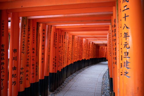 Безкоштовне стокове фото на тему «fushimi inari shrine, ворота, коридор»