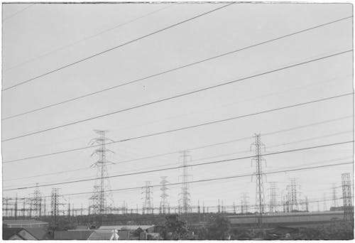 Gray Landscape with Electric Poles