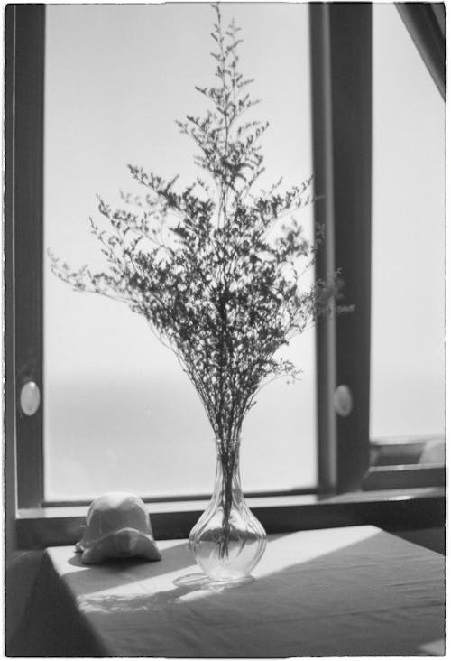 Black and White Still Life with Plant Branches Standing in a Vase