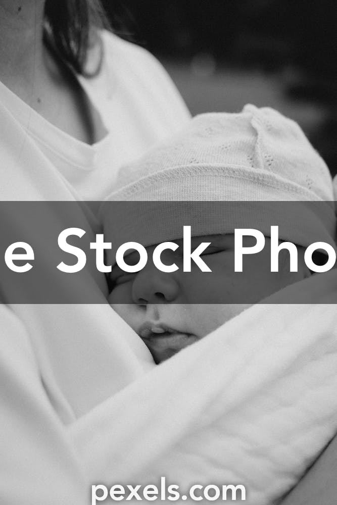 Maternity Portraits Photos, Download The BEST Free Maternity Portraits ...