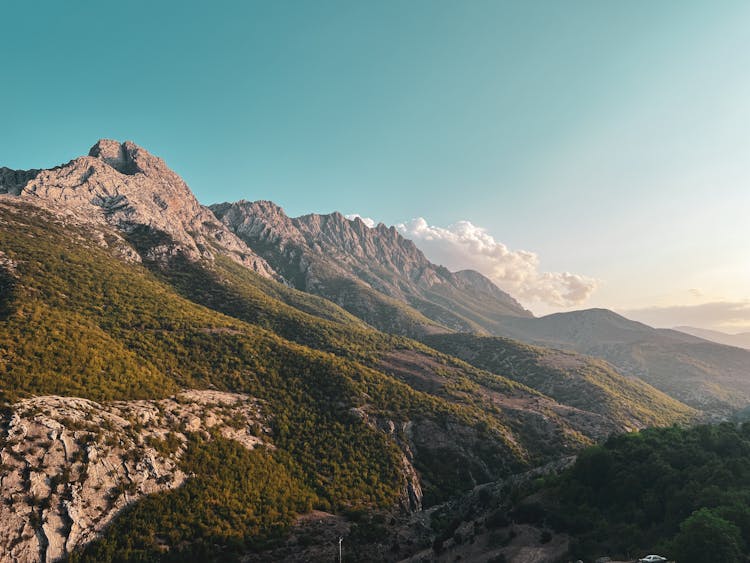 Forest In Valley In Mountains