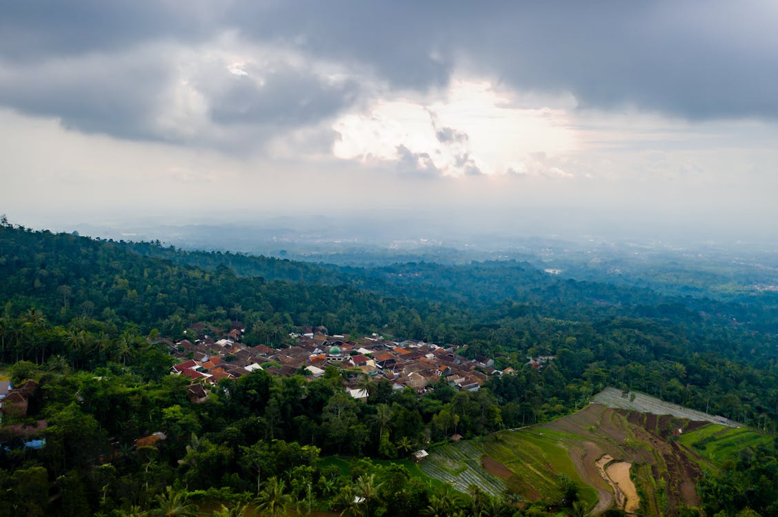 Vista Aérea De Casas E árvores