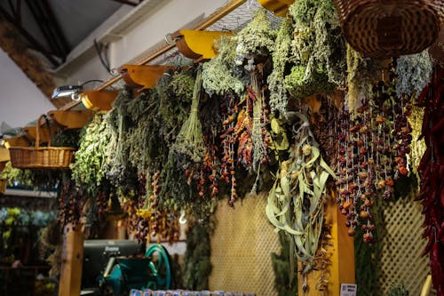 Free stock photo of bazaar, chillies, flavorings