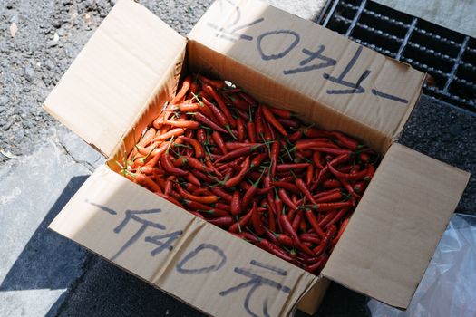 A box of red chili peppers sitting on the ground