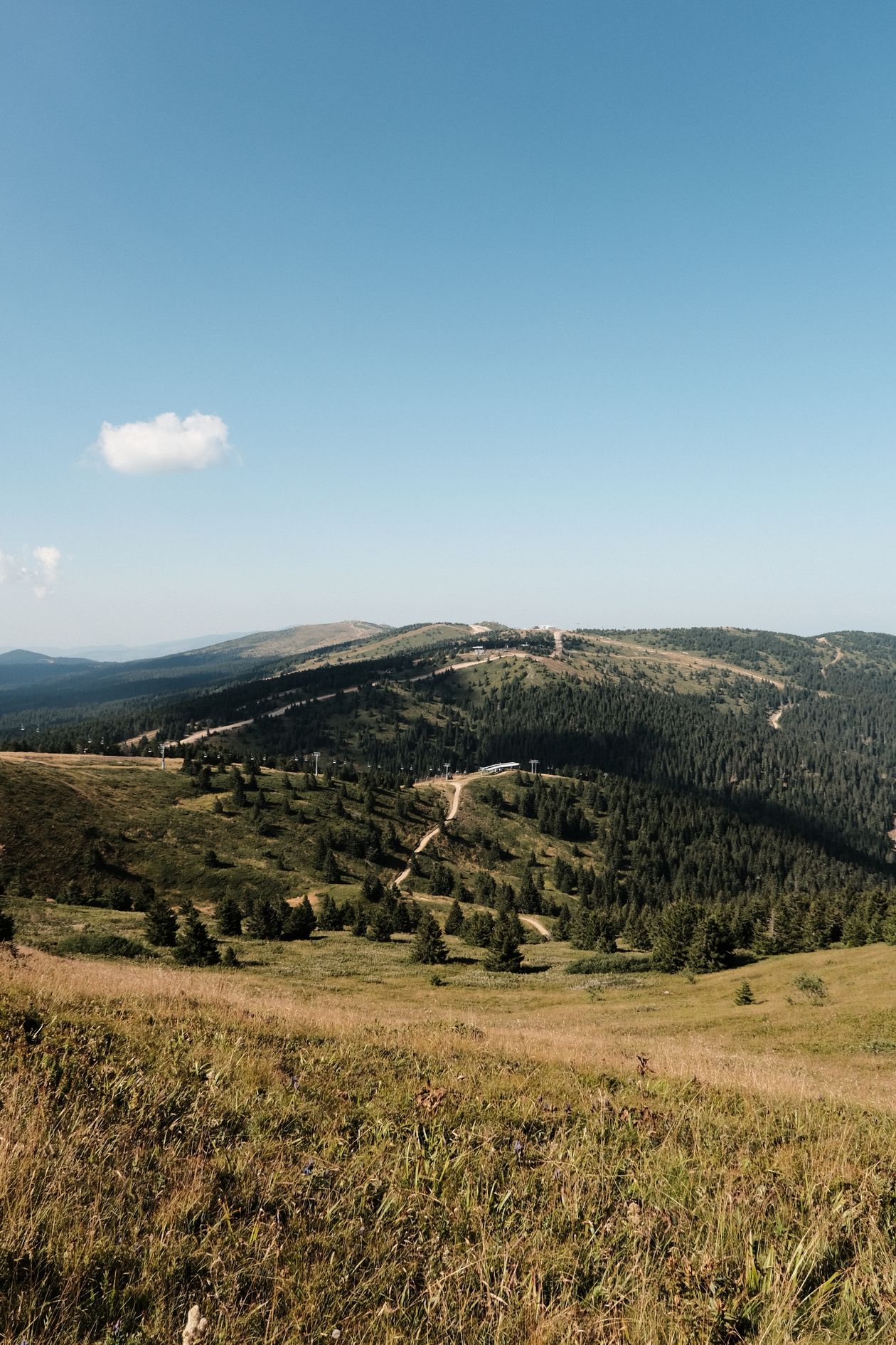 Cazare ieftină în Kopaonik: culmile împădurite și pârtiile, vara