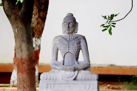 Buddha Statue under a Tree