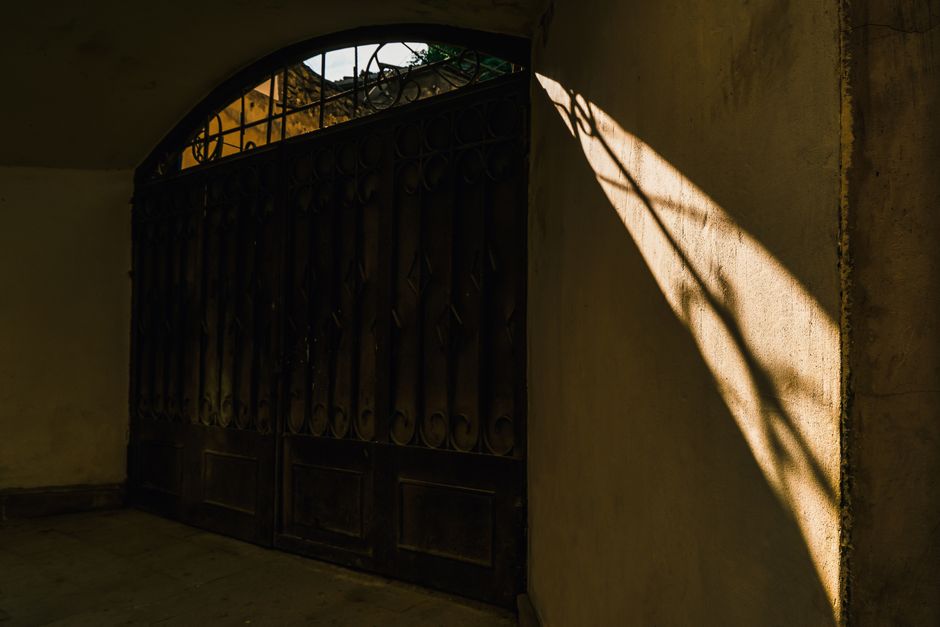 Sunlight casts intricate shadows on a wall through a window, creating a moody indoor atmosphere.