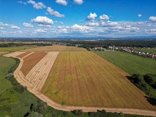 Fotos de stock gratuitas de campo de cultivo, fondo de pantalla, foto con dron