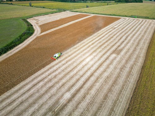 Drone Shot of a Combine Harvester on a Cropland 