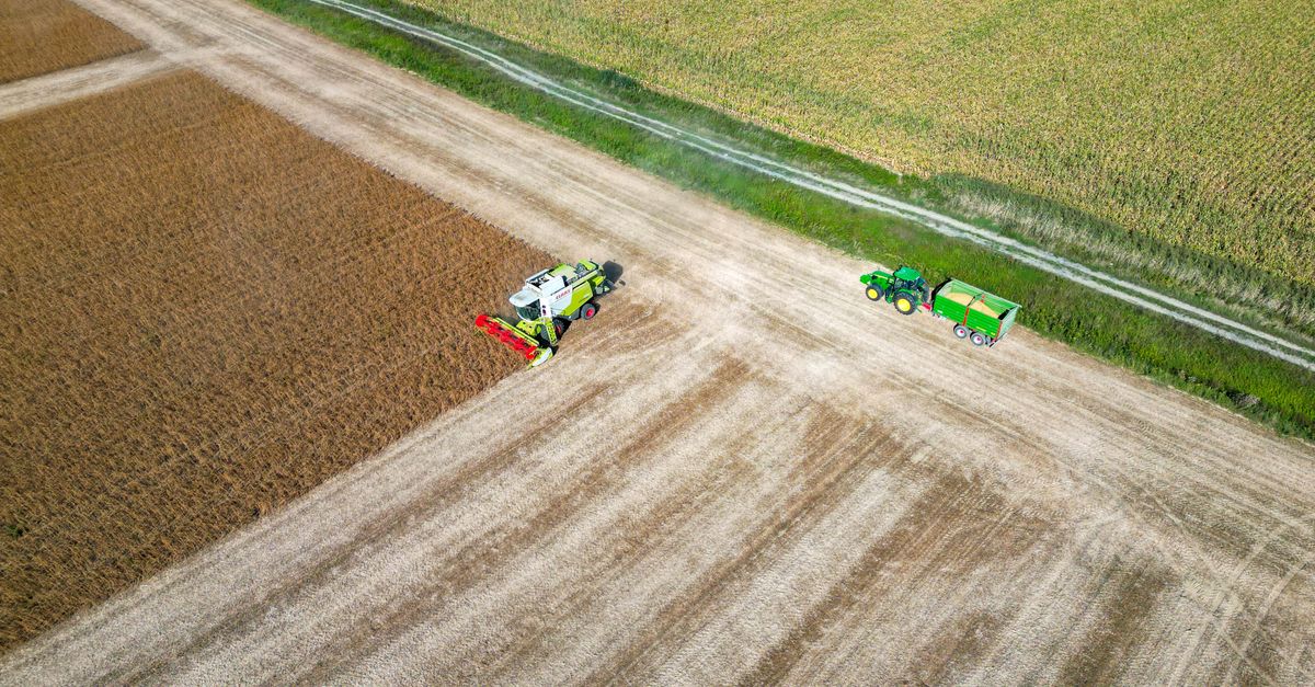Nicaragua: RSE agroindustrial que impulsa prácticas sostenibles y bienestar familiar Nicaragua: RSE agroindustrial que impulsa prácticas sostenibles y bienestar familiar