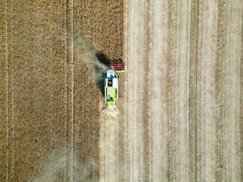 Drone Shot of a Combine Harvester on a Cropland 