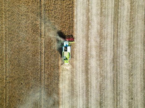 Drone shot of a combine harvester working in a wheat field in Garešnica, Croatia.