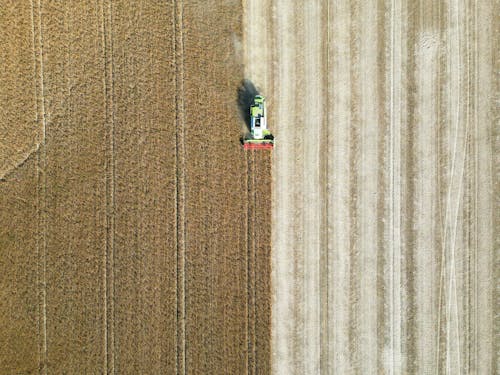 기계, 농업, 농작물의 무료 스톡 사진